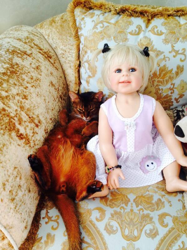Наше участие в конкурсе Кукла и питомец | Бэйбики Наше участие в конкурсе Кукла и питомец (фото 3)