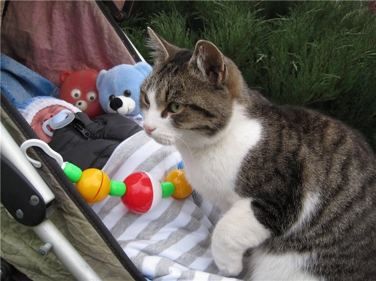 Колыбельная для малыша.Кукла реборн Тимурчик Ольги Астаповской