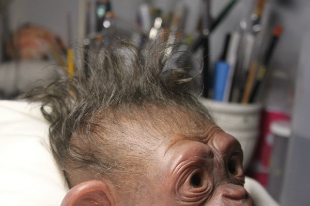 Гога, он же Гоша,он же Гора, он же Жора, здесь проживает? кукла реборн Элины Кудрявцевой