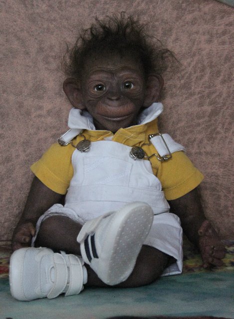 Гога, он же Гоша,он же Гора, он же Жора, здесь проживает? кукла реборн Элины Кудрявцевой