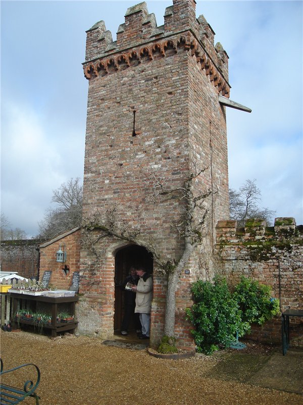 Как гномик Ditte за подснежниками ходила