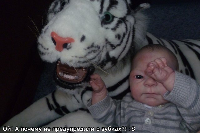 Долгожданный Артёмка в своих новых апартаментах (фото 7)