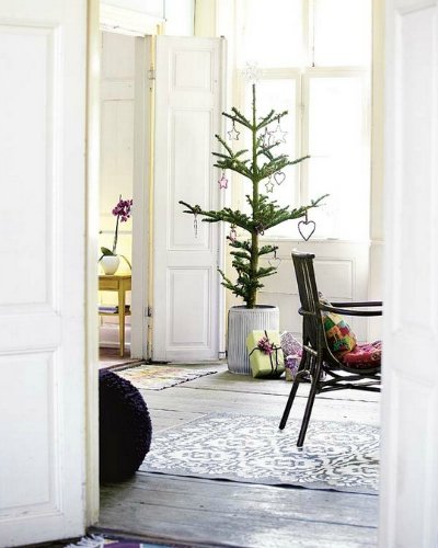 Новогодняя красотища — Интересное и необычное: фотоподборки