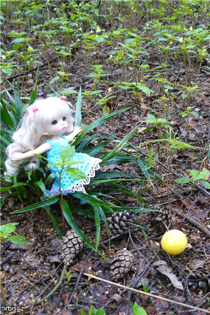 Осенняя сказка. Часть 2. (PukiFee Ante Ариэтти, PukiFee Bonnie Ариэль) | Бэйбики Осенняя сказка. Часть 2. (PukiFee Ante Ариэтти, PukiFee Bonnie Ариэль)