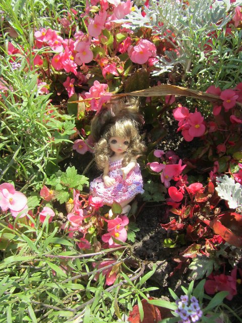 Путешествие, навеянное бебиками