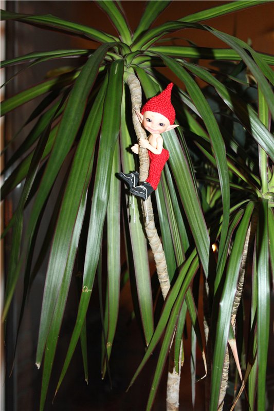 Мечты обязательно должны сбываться,главное в них верить!!! Реалпуки (Realpuki) Сосо - Ягодка