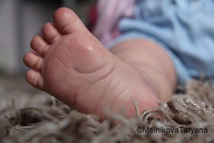 Кукла реборн Аля, Алечка моя
