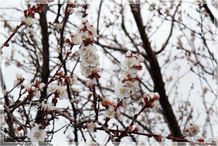 Новые наряды моей малышни. Riley, Tulah, Mary & Ellery Helen Kish