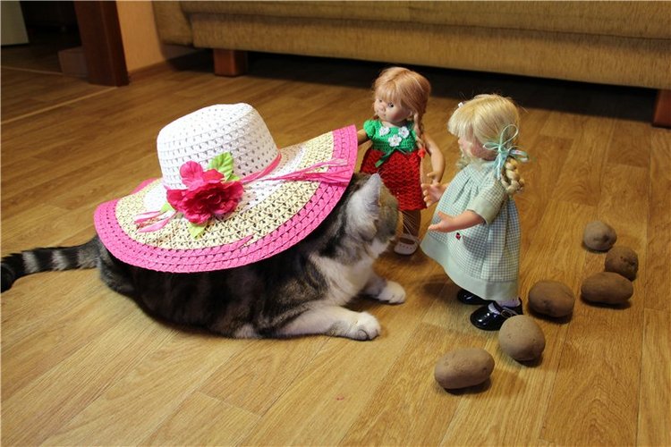 "Живая шляпа". Куклы Rosemarie Anna Muller (фото 5)