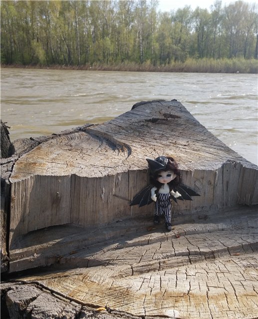 Поездка за подснежниками. Или просто Корппи | Бэйбики Поездка за подснежниками. Или просто Корппи