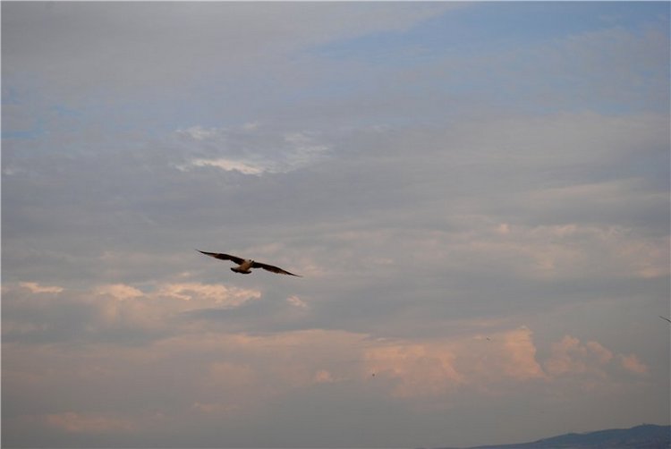 О море и Демоне — Куклы Monster High и Ever After High: G1 (фото 5)