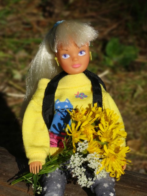 Девочки гуляют — Куклы Sindy (Синди) и Tammy (Тамми): винтаж