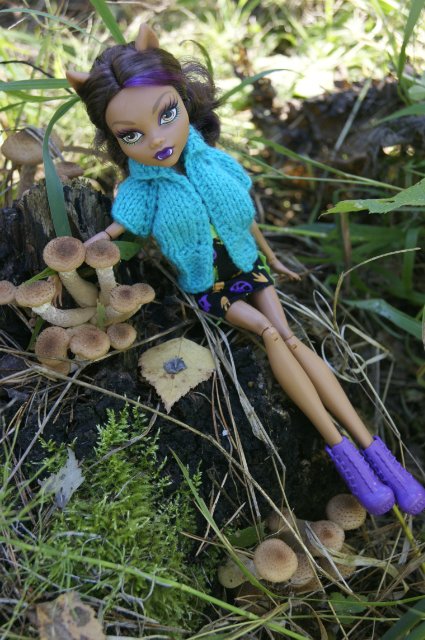 Как Лиу и Клодин за грибами ездили