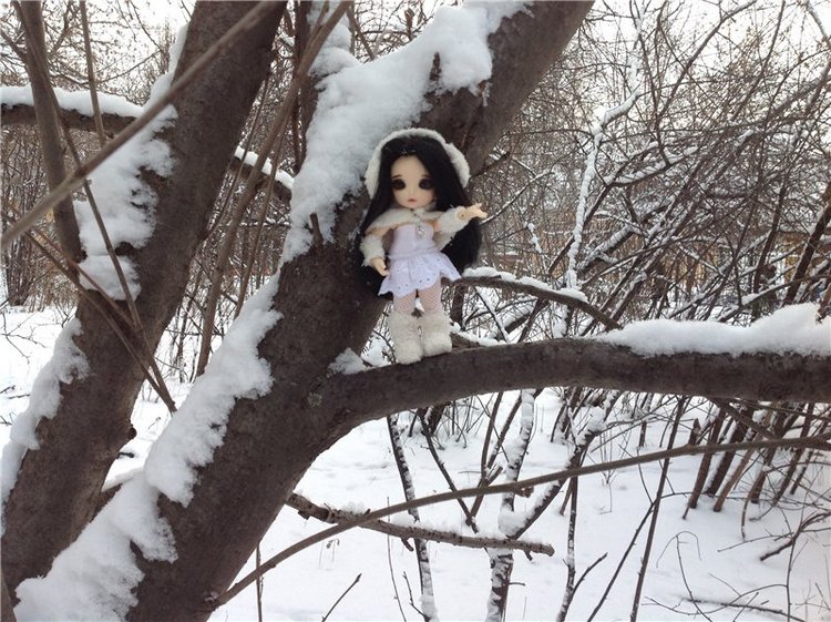 Зимние эльфийские развлечения, Pukifee Mio