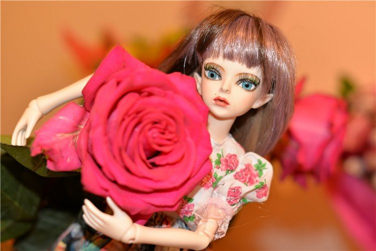 Новый облик Фелис — Куклы Doll Leaves (Долл Ливз): BJD (БЖД) (фото 6)