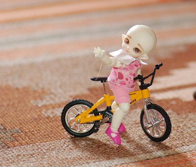 Покаталась... или история о том, как Буу велосипед подарили (фото 4)