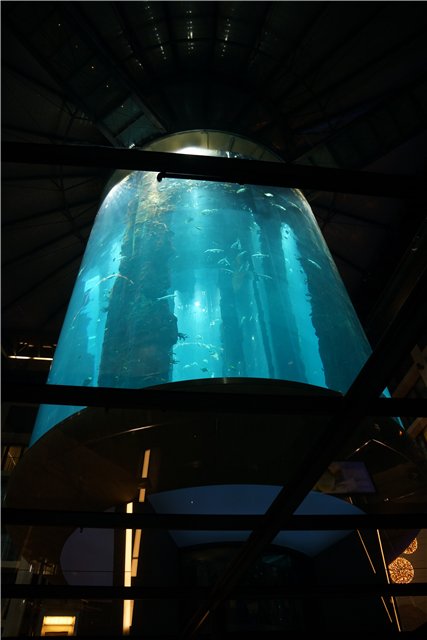 Взятие Берлина. Часть 3. Аква-дом, Улыбка бегемота и Прототип куколок Шильдкрот (фото 2)