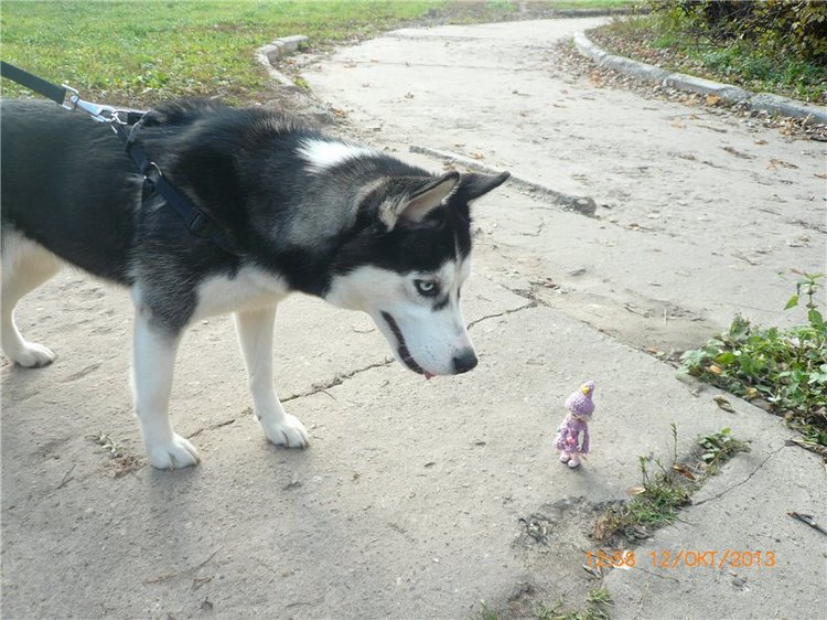 Золотая осень. Сосенка Пин - куколка БЖД | Бэйбики Золотая осень. Сосенка Пин - куколка БЖД
