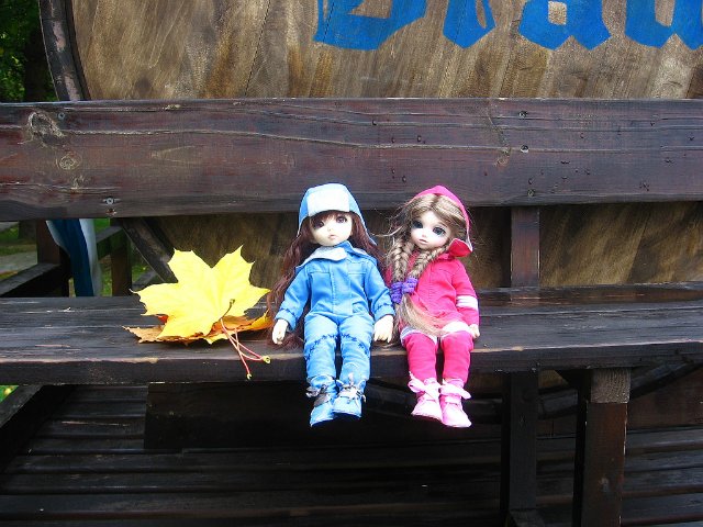 Осенняя прогулка Мини и Мики (фото 2)