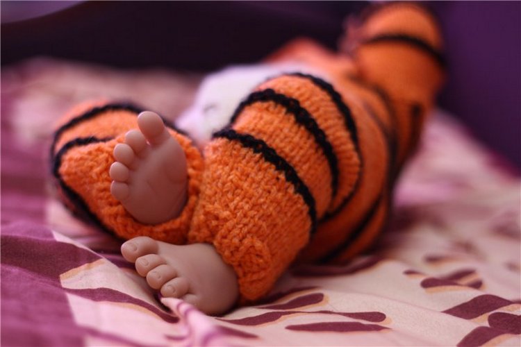 Мои вязалочки "Веселые зверятки" (фото 4)