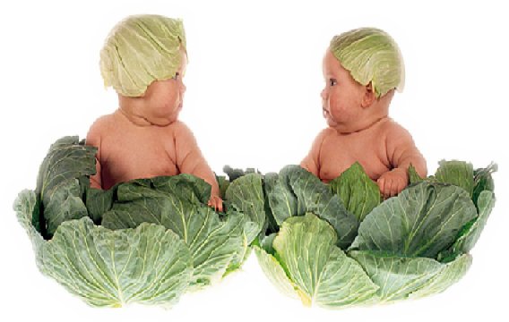 "Но как же вы могли так раздвоиться? Две половинки яблока различней." Близнецы от Кристин Оранж