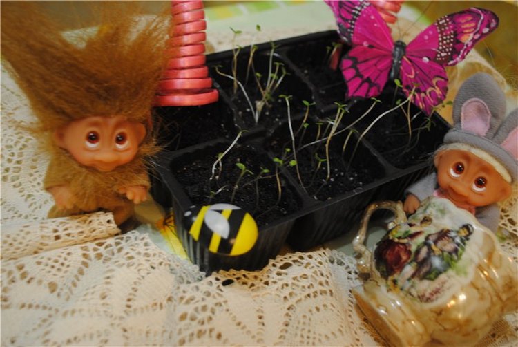 Марселька и тролли рассаду сажали, а бабочка с пчелкой им помогали... По следам конкурса "Моя Весна"