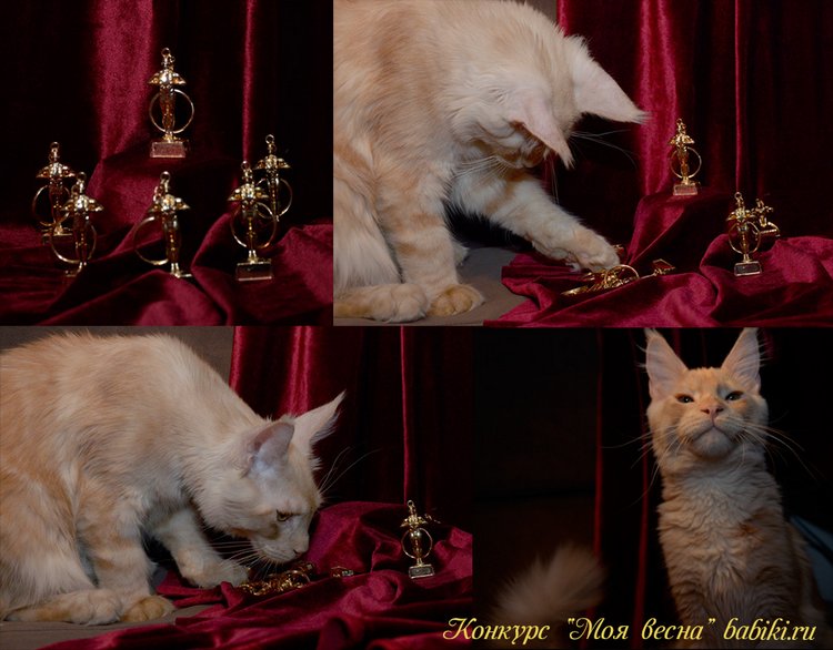 Приглашаем на церемонию награждения премией "Открытое сердце" по конкурсу "Моя весна"