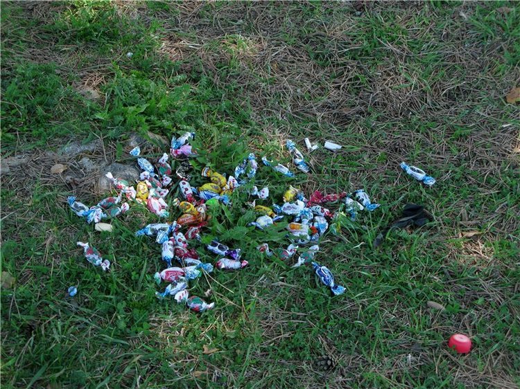 Субботний вояж. Часть первая