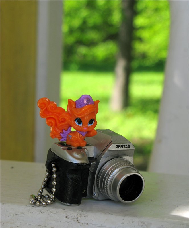 Субботний вояж. Заключительная часть