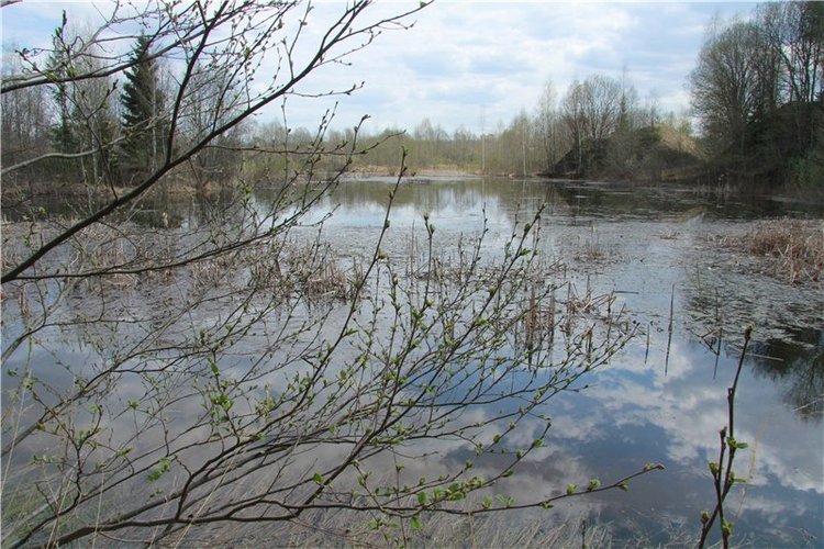 На водопад с Райли. Riley от автора Helen Kish (фото 8)