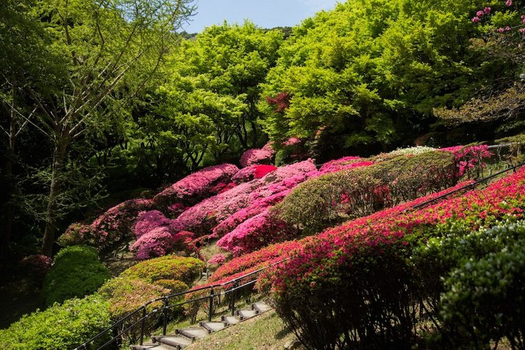 Япония моими глазами (часть 3. Китакюсю и Токио.)