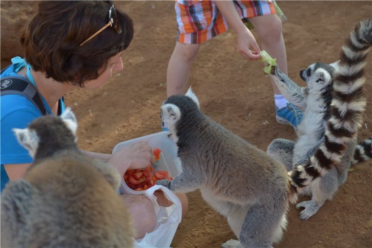 Испания. Тенерифе. Часть 1 (фото 9)