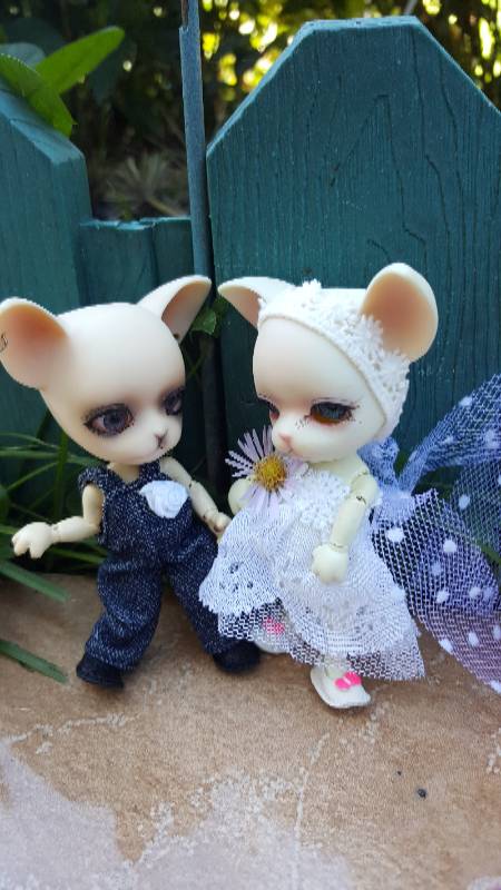 Большая свадьба Панг-Панга и Джулии (фото 9)