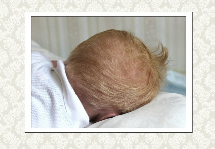 Реалборн Кимберли, сейчас принц Гарри (фото 8)