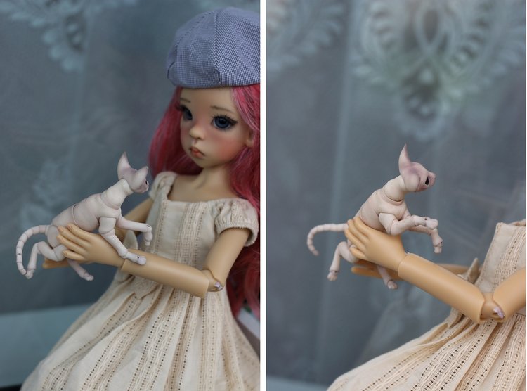 Жизнерадостный Кот и мечтательная Лайла (фото 8)