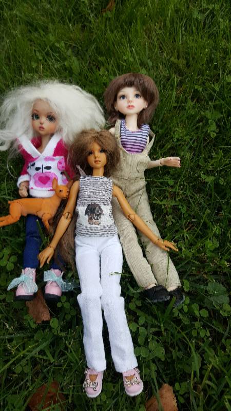 Снова в путешествие — Куклы Planetdoll (Планетдолл): BJD (БЖД) (фото 5)