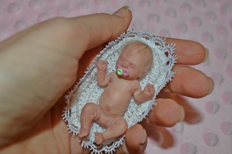 Любимка в румбоксе - как сбываются мечты (фото 7)