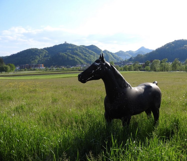 Словения, Светланка и маленький «герой» в одном ботинке (фото 10)