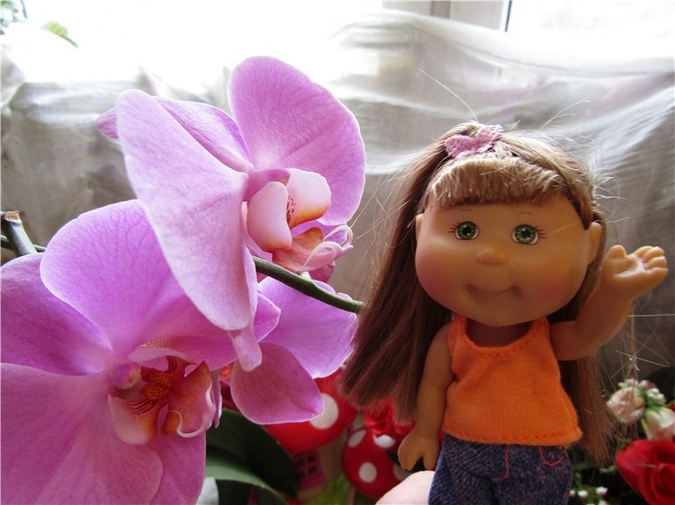 Новый дом для Лилочки — Куклы Cabbage Patch Kids (Капустки): винтаж 80