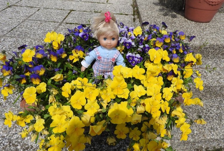 Словения, Светланка и маленький «герой» в одном ботинке