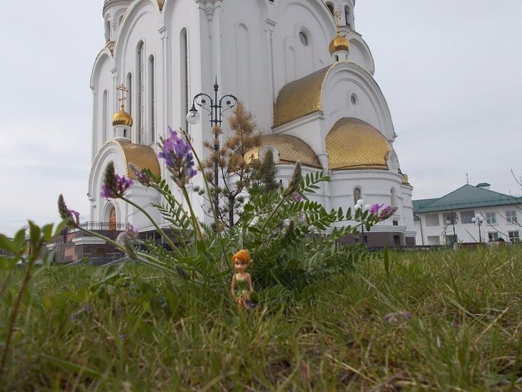 Майские... Городские зарисовки (фото 2)