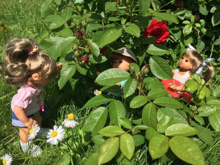 Мылыши от Gabriele Müller на даче