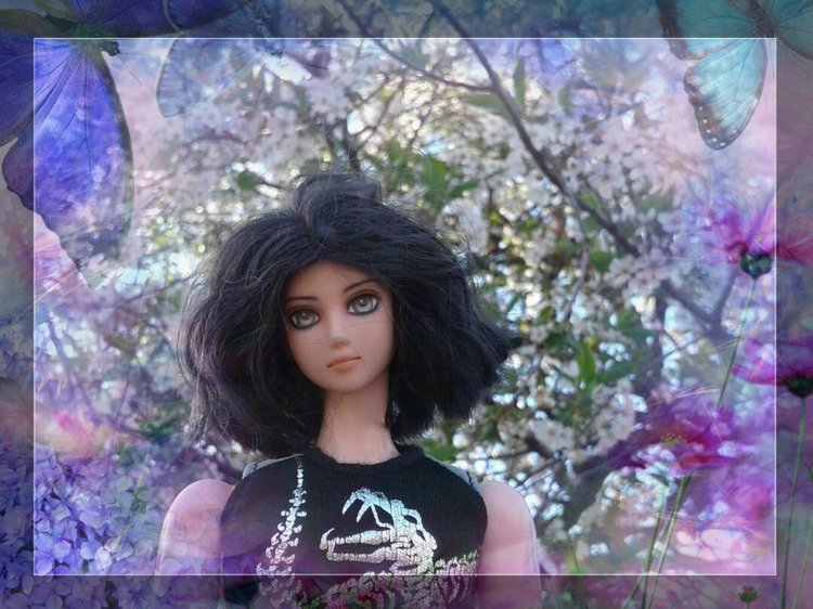 Простенькая программа для редактирования фото на телефоне