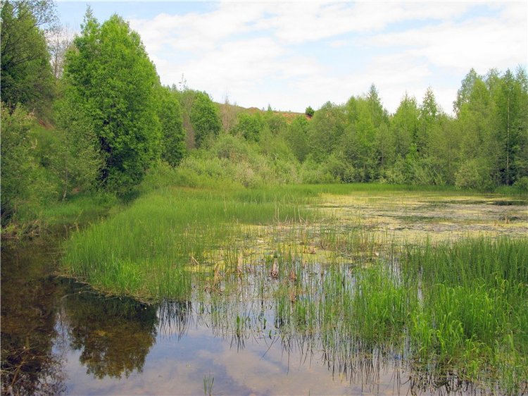 Тверской Водопад — Туризм и путешествия: фотоотчеты из поездок