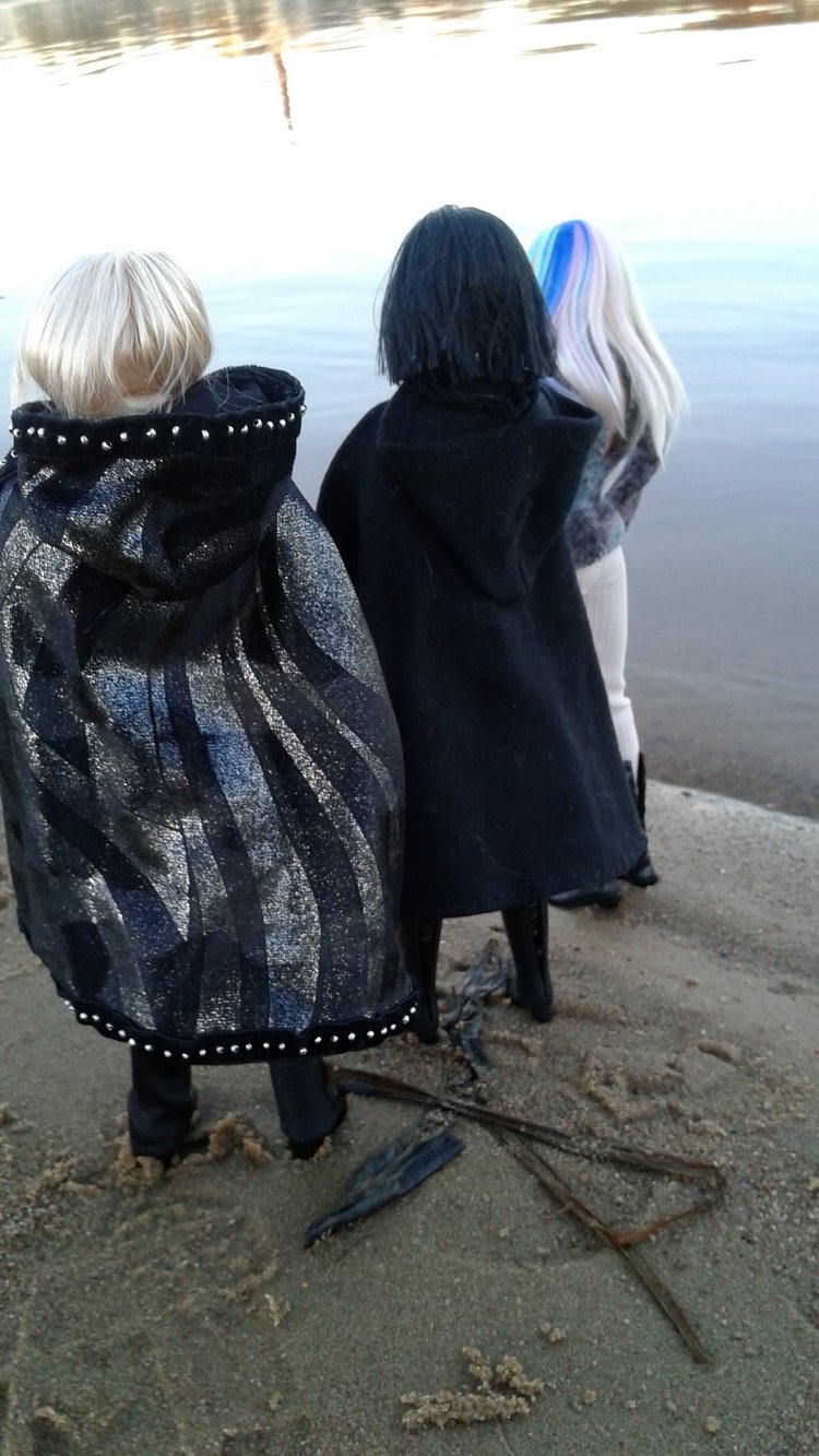 Зимнее солнце. Глава 9. Последняя остановка