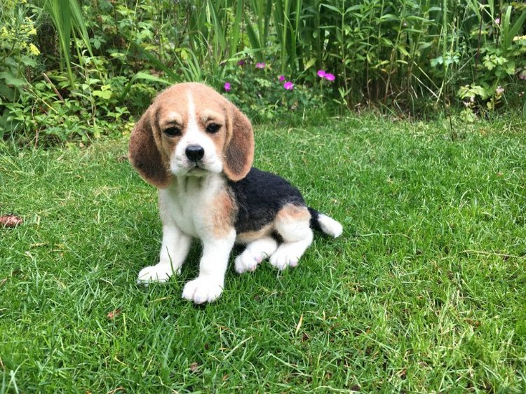 Калейдоскоп моих кукол. Часть 3