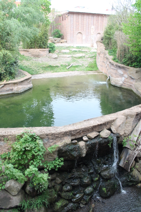 По Германии: зоопарк Лейпцига, часть 1