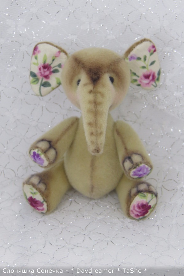 И теперь уже второй слоненок... и снова девочка