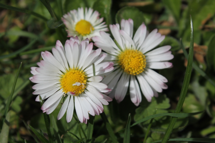 По Германии: весна в Лейпциге