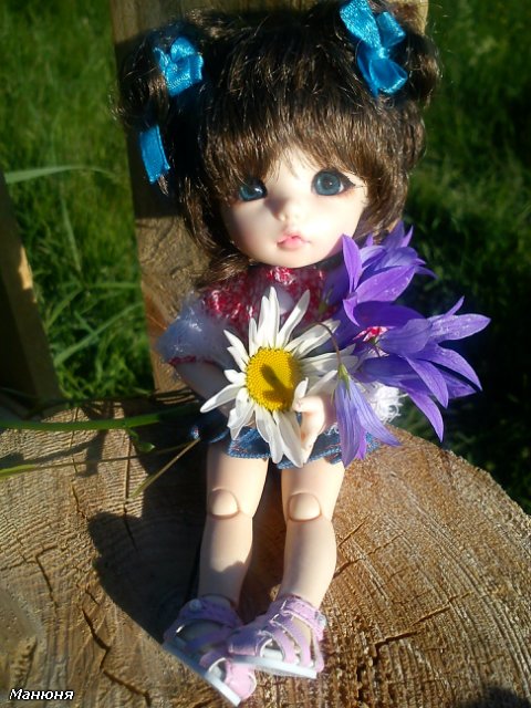 Манюнькино лето-2 (Полевые цветы) PukiFee Ante